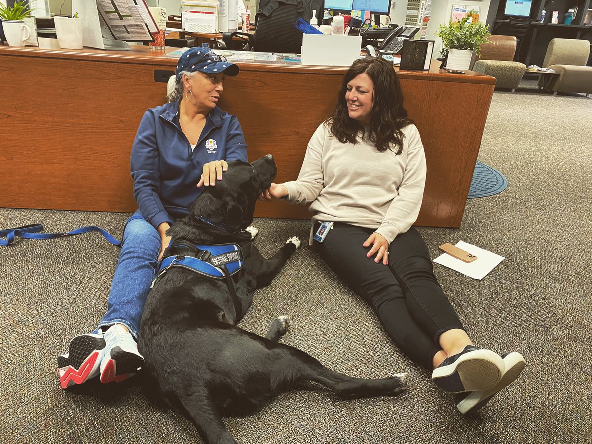 Bear@LHS tweet media