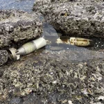 海で釣りしてたら魚雷のようなものが落ちていた