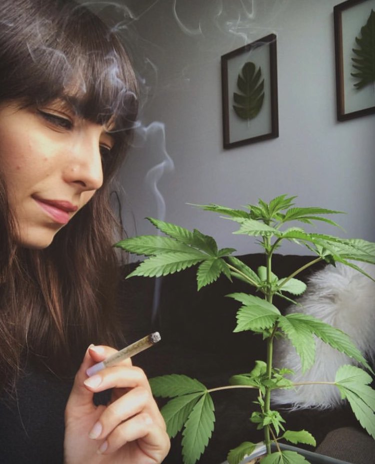 Jodie Giesz-Ramsay tweet media