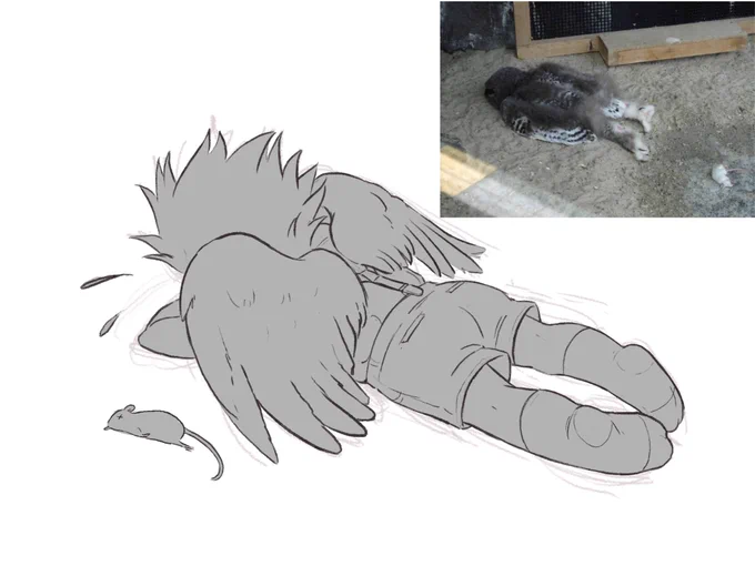 Baby Bokuto lost his pet mouse 🥺
#bokutokoutarou 