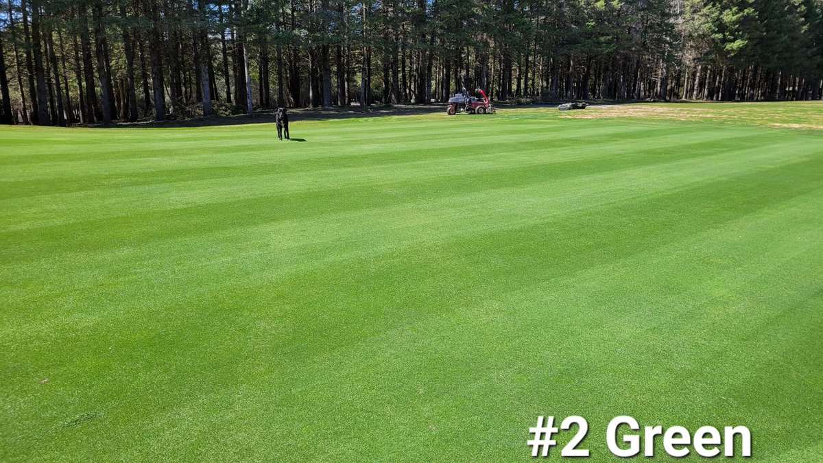 Turfgeneral's tweet photo. First cuts today on greens. Things shaping up nicely @oaksofcobden #happysuper #happyturf https://t.co/SGjoczUUh2