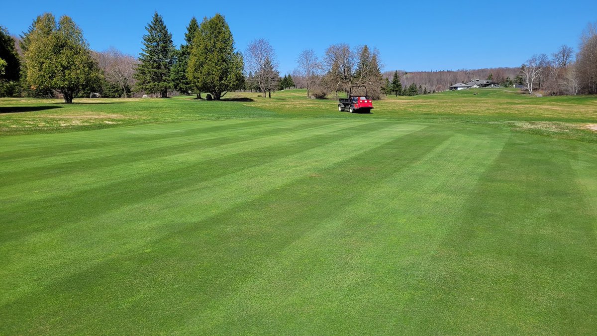 Turfgeneral's tweet photo. First cuts today on greens. Things shaping up nicely @oaksofcobden #happysuper #happyturf https://t.co/SGjoczUUh2
