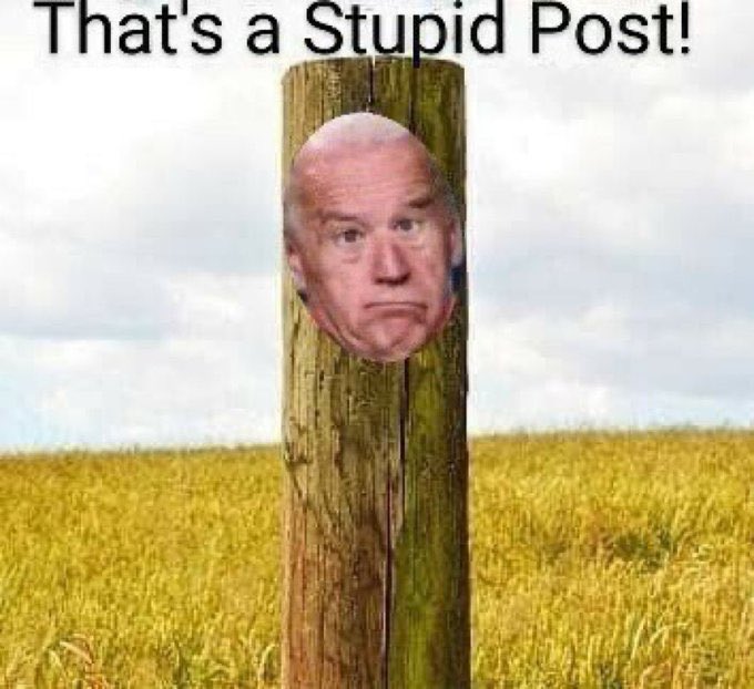 Bobtripp11's tweet photo. @IlhanMN No… Biden is you anti American fool https://t.co/wm8RDR3RbP