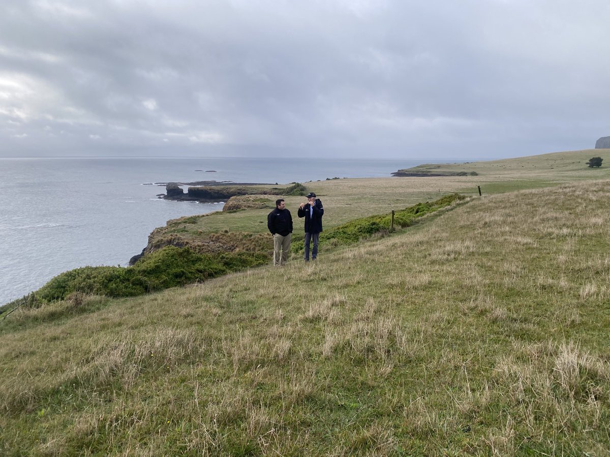 Rowan Smith tweet media