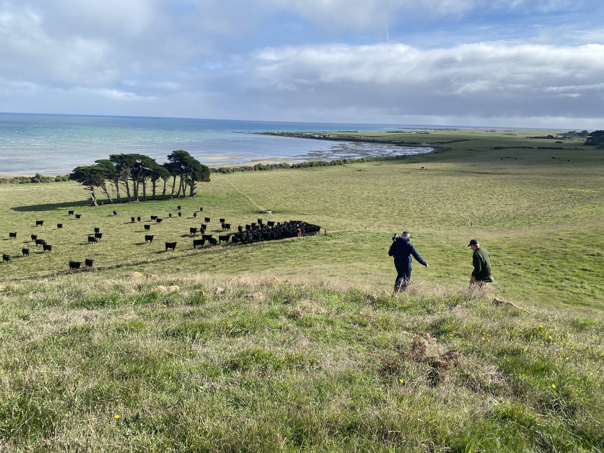Filming for ⁦<a href="/RedMeatUpdates/">Red Meat Updates</a>⁩ virtual farm tour at Western Plains, Stanley today for ⁦<a href="/NutrienSthEast/">Nutrien Vic SA Tas</a>⁩ . Looking forward to bringing it to you on 28th July! ⁦<a href="/PinionAdvisory/">Pinion Advisory</a>⁩ ⁦<a href="/TasInAg/">TIA</a>⁩ ⁦<a href="/WP_Beef/">Iain Bruce</a>⁩