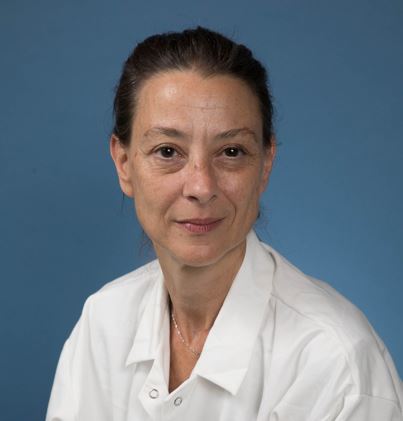 UCLA_Pathology's tweet photo. Congratulations to UCLA Pathology's Dr. Cristina Ghiani (@CAGhiani) and Dr. James Lister (@lister_ph) on being selected to serve as the next Core Educators for the Scientific Foundations of Medicine (SFM) Neurosciences Theme @dgsomucla! #pathology #PathTwitter #patheducation https://t.co/MELNfcJhBr