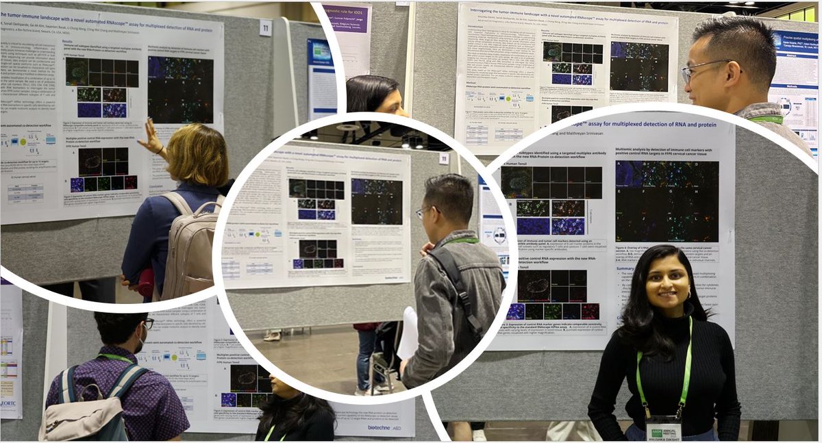 bt_spatial's tweet photo. Just one final post from #AACR23 - Thank you to all who came to visit with us at the booth. We hope to see more of you #AdvancingYourRNAISH in the coming months!
Anushka Dixit, Ph.D. and the team enjoyed meeting with you and discussing our new advances with #RNAscope technology! https://t.co/8wzRtl8ksU