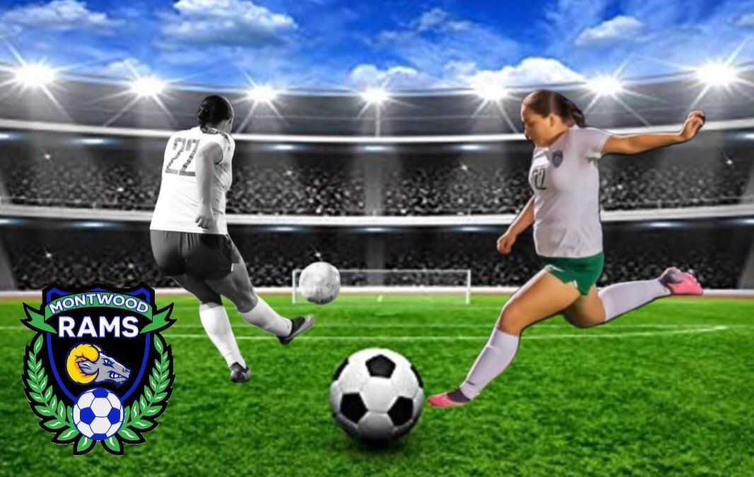 GirlssoccerRams's tweet photo. Congratulations to our 2nd Team All District Selections. Junior @JaydaV_22 Jayda Villa Senior @Cailyn_Barron Cailyn Barron. #sisterhood @MontwoodHS #SISD https://t.co/Um3ncHuxkD