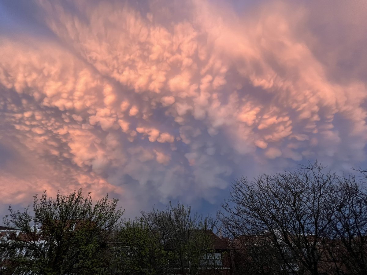 Zi Yun Huang tweet media