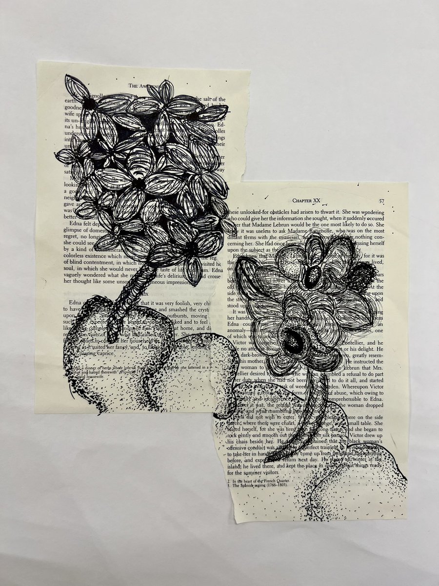 A few book page ink drawings from grade 8. Students learned to use various inking techniques to shade a variety of values. <a href="/BAM_MS_Official/">Brambleton Middle</a> <a href="/krhackett/">Katie Hackett</a> #inking #bookpageart #inkdrawing #art #penandink #arted #artteacher #middleschoolart #lcps23 @LCPSVisualArts <a href="/VAartED/">Virginia Art Ed Assn</a> #drawing