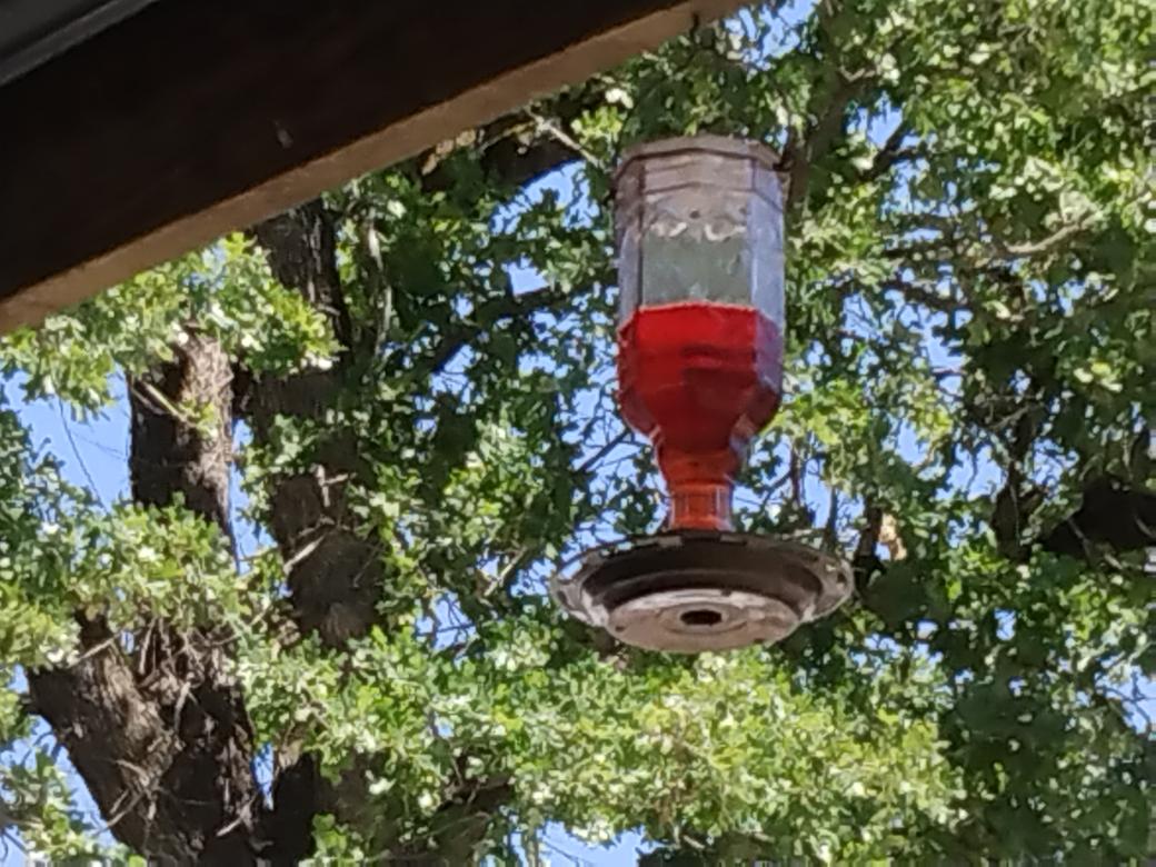 MARLA COWART tweet media