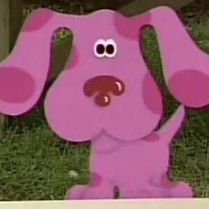 helena riley tweet media