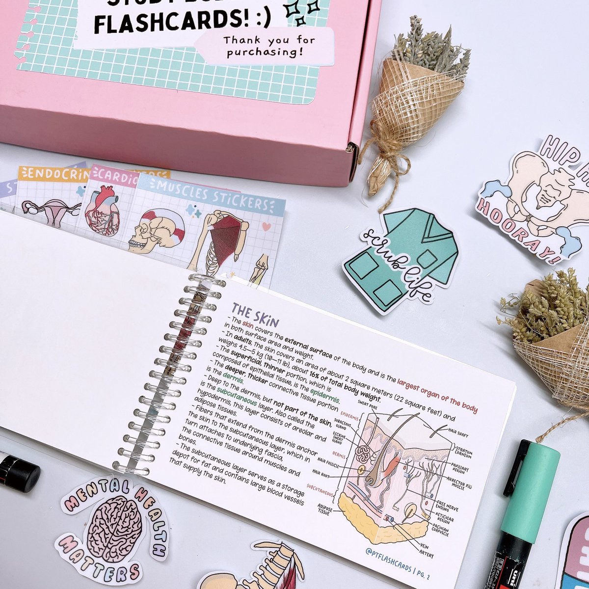 PTFlashcards's tweet photo. Integumentary Flashcards for only ₱330 💗
#integumentary #skin #anatomy #flashcards https://t.co/VLE0FIHehb