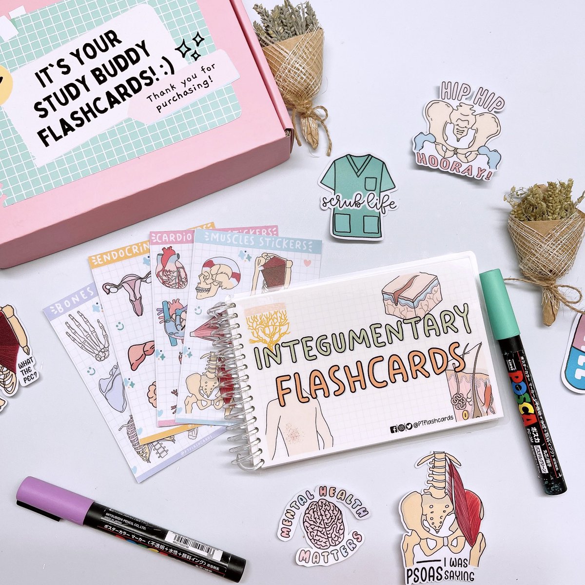 PTFlashcards's tweet photo. Integumentary Flashcards for only ₱330 💗
#integumentary #skin #anatomy #flashcards https://t.co/VLE0FIHehb