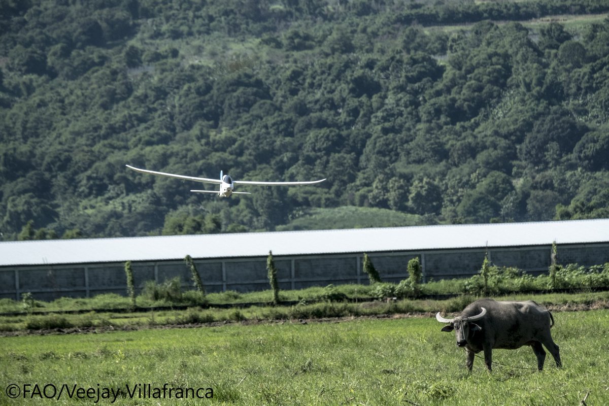 FAO Forestry (@faoforestry) on Twitter photo Can #AI help end deforestation?
<a href="/FAO/">Food and Agriculture Organization</a>’s <a href="/juliancfox/">Julian Fox</a> and @anssipek discuss in this op ed for World Creativity and Innovation Day
bit.ly/3UVXU5b via <a href="/BangkokPostNews/">Bangkok Post</a>
#WCID #InnovationDay #AgInnovation Can #AI help end deforestation?
<a href="/FAO/">Food and Agriculture Organization</a>’s <a href="/juliancfox/">Julian Fox</a> and @anssipek discuss in this op ed for World Creativity and Innovation Day
bit.ly/3UVXU5b via <a href="/BangkokPostNews/">Bangkok Post</a>
#WCID #InnovationDay #AgInnovation