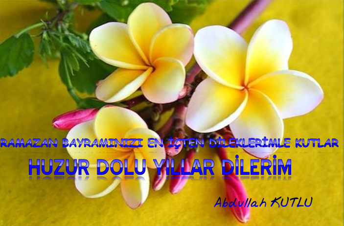 Abdullah KUTLU (@apoli20kutlu) on Twitter photo 