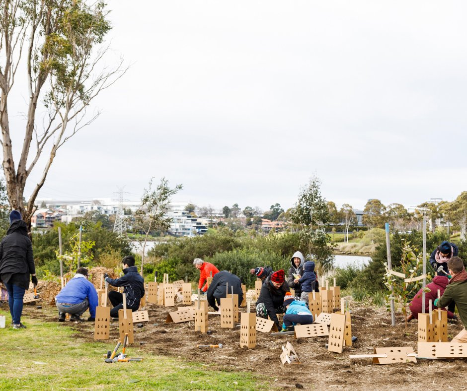 City of Maribyrnong (@maribyrnongcc) on Twitter photo We are one of a number of local government areas to receive funding to plant more trees. The funding comes from <a href="/DEECA_Vic/">DEECA Victoria</a>’s More Trees for a Cooler, Greener West Program. Read more: premier.vic.gov.au/more-trees-gro… We are one of a number of local government areas to receive funding to plant more trees. The funding comes from <a href="/DEECA_Vic/">DEECA Victoria</a>’s More Trees for a Cooler, Greener West Program. Read more: premier.vic.gov.au/more-trees-gro…