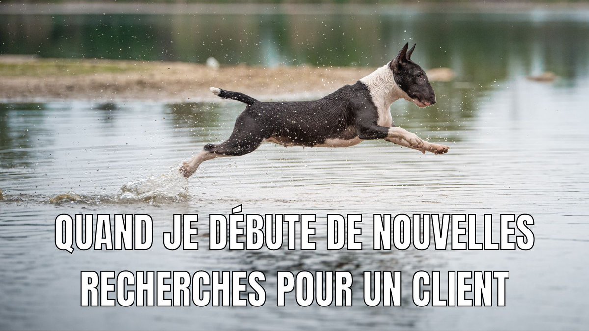 MaGenealogieNet's tweet photo. C'est toujours très excitant de commencer de nouvelles recherches !
En #généalogie, chaque nouveau dossier est une nouvelle aventure! https://t.co/QNl3WmktNP