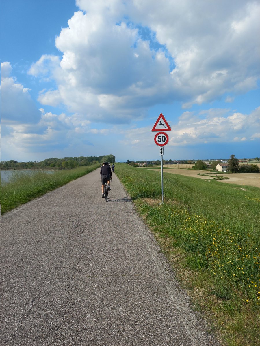 Paolo Pileri tweet media