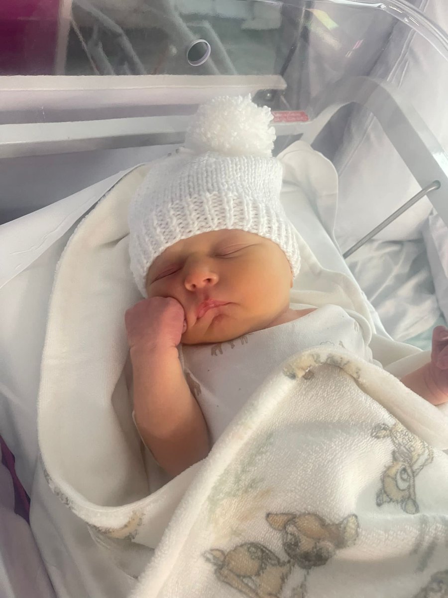 Ben Maher tweet media