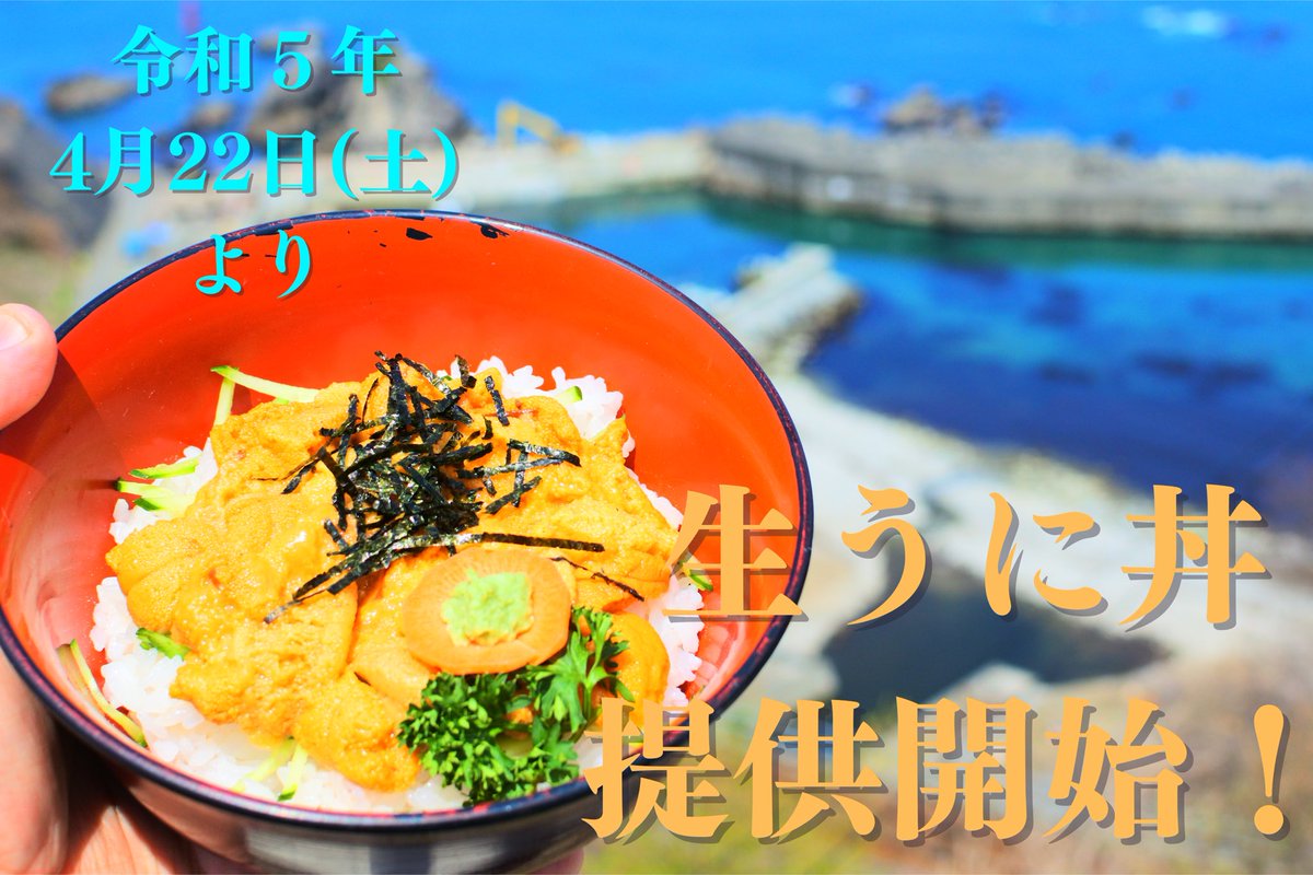 Resthouseushio's tweet photo. 今年も生うにの季節がやってまいりました！
4月22日(土)より提供開始です！！
夏の間しか食べられない名物「生うに丼」是非食べにいらしてください✨
トロッと甘く、口の中でとろける生うにを堪能しに是非うしおまでお越しください！！

#いわて北三陸
#生うに丼
#うに丼
#普代村 https://t.co/ZXIfQuM73h