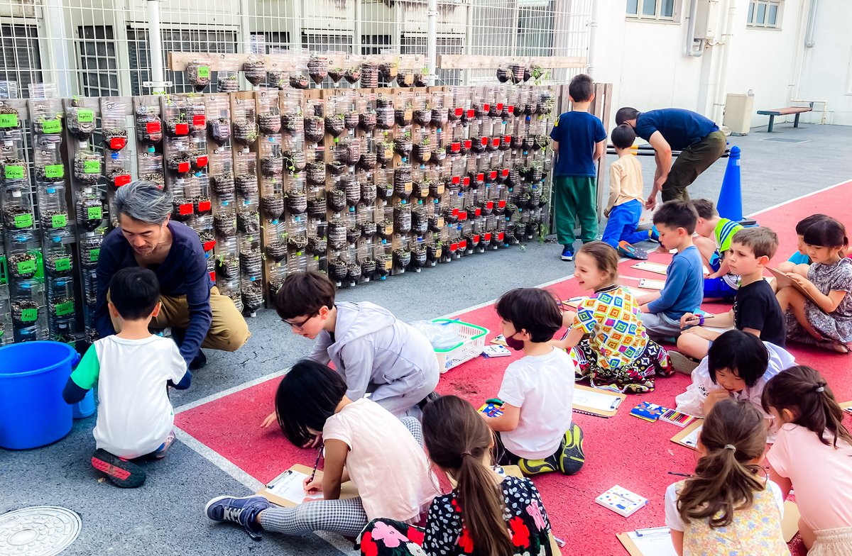 lfitokyo's tweet photo. #SILENCE, #CAPOUSSE

🌱 Un #projetécologique en cours à l'école élémentaire du #LFITokyo : les enseignants et les élèves de CP construisent un #murvégétal avec l'aide des agents techniques.

1/2

@aefeinfo 
@FLTfapee 
@ambafrancejp 
@AEFEAP https://t.co/N3TrKWmQKY