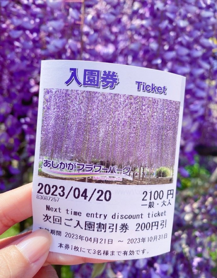 cherry05_10's tweet photo. 藤の花が咲いた💜
#藤の花 
#足利フラワーパーク 
#花を見る
#アイスクリーム https://t.co/15kMCeb08B