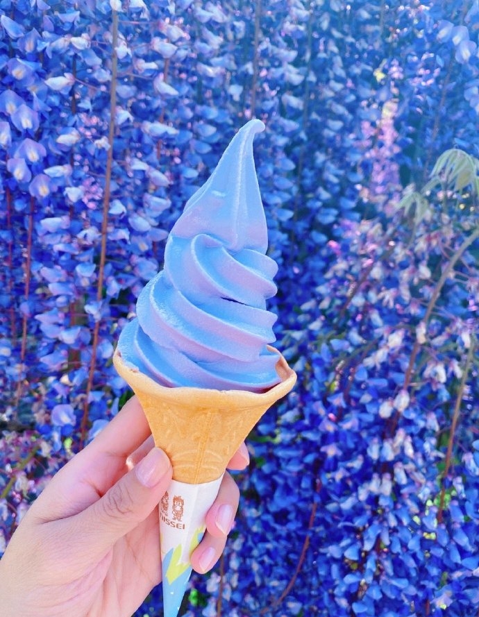 cherry05_10's tweet photo. 藤の花が咲いた💜
#藤の花 
#足利フラワーパーク 
#花を見る
#アイスクリーム https://t.co/15kMCeb08B