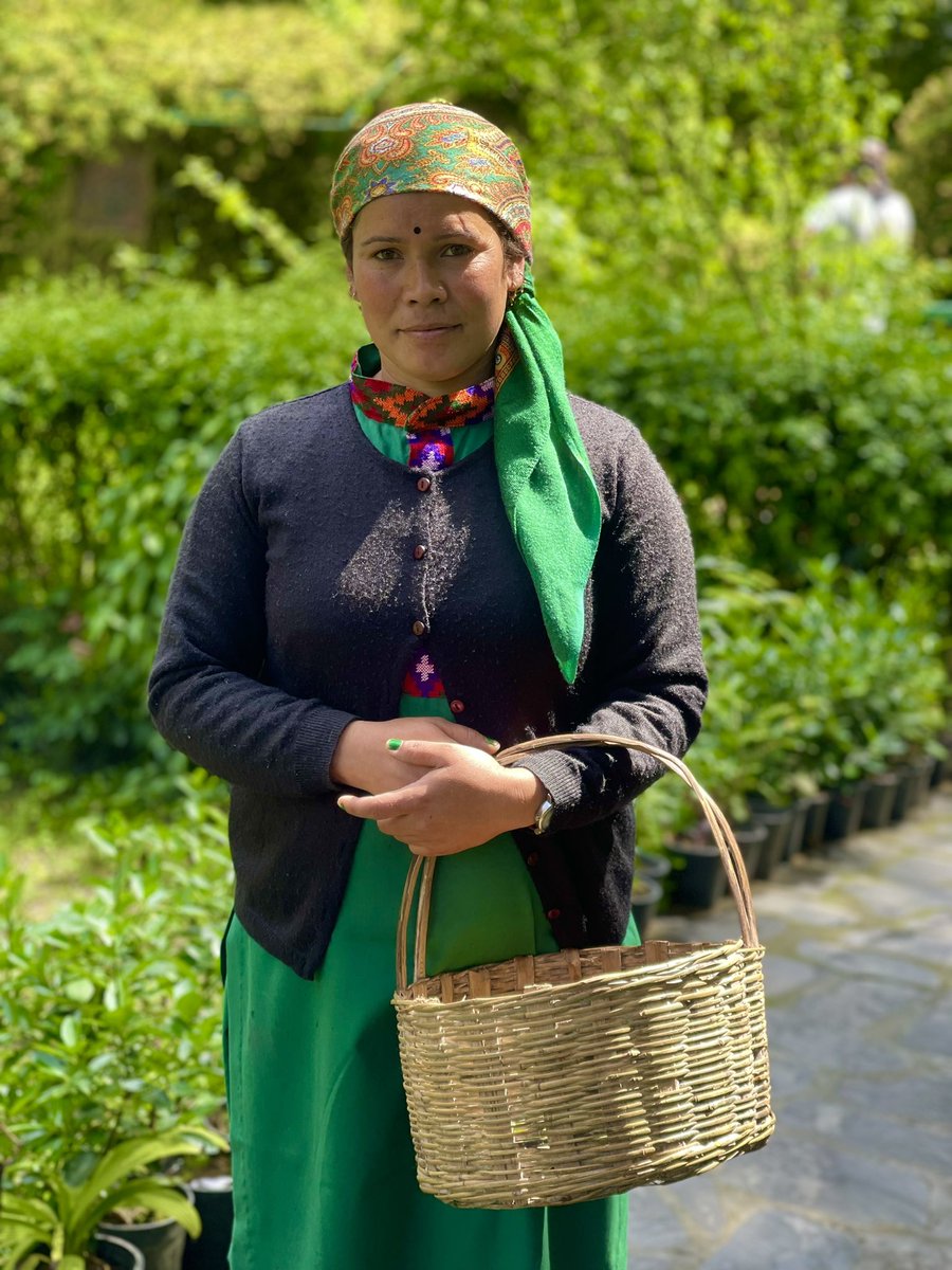 kailashathv's tweet photo. Weekend ka vaar ho jao tayaar #kailashathehimalayanvillage #thehimalayanvillage #kasol #parvativalley #petfriendlyhotel #riversideresort #offbeatindia #preweddingshooting #himachal #villagebeauty #mood #weekendkavaar #weekend #letsgosomewhere 9805072712. https://t.co/dU5r5YR4Bq https://t.co/zUkyrLn17h