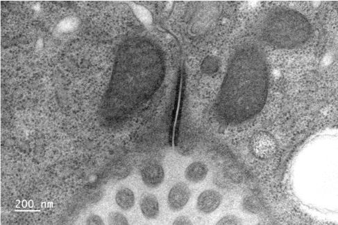 Aurelien Dupont tweet media