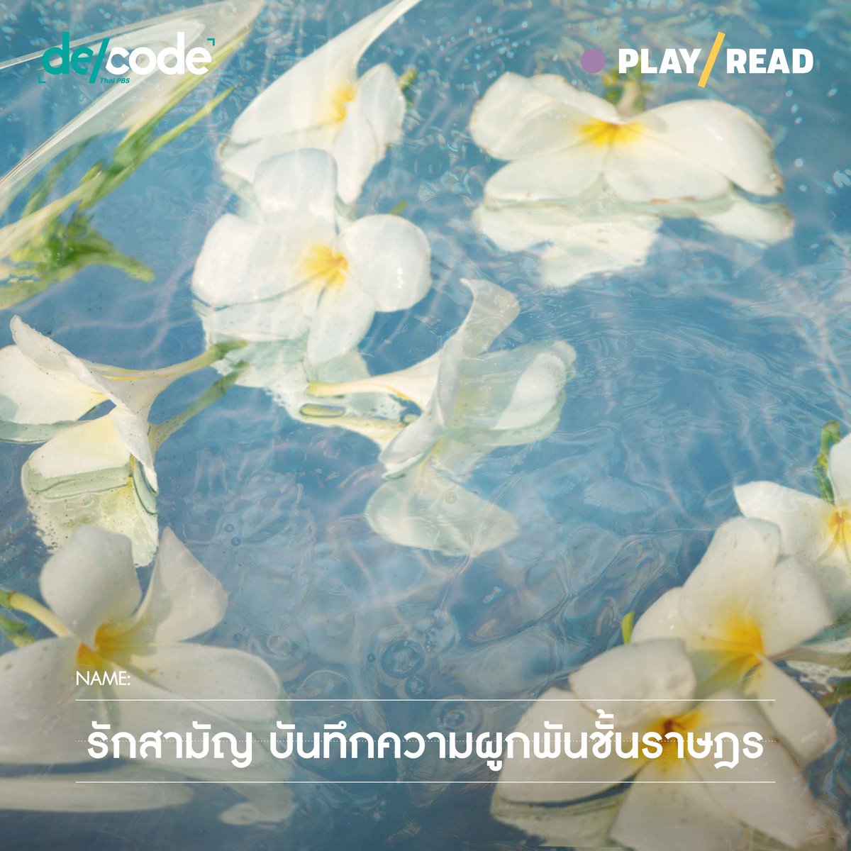 DecodePlus's tweet photo. จะ 25% หรือ 100% คือความหวานที่เราเลือกได้ แต่เพราะความรักในชีวิตจริงไม่ได้มีแค่ความหวาน ทำให้รสชาติความรักของสามัญชนแตกต่างกันออกไปจนไม่สามารถมีสูตรสำเร็จ
.
#PlayREAD ชวนสัมผัสรสชาติของความรักกับ 'รักสามัญ' 🌼 บันทึกความผูกพันชั้นราษฎรของ ป้าอุ๊ - รสมาลิน ตั้งนพกุล ↓ https://t.co/uxXJXCBqNJ