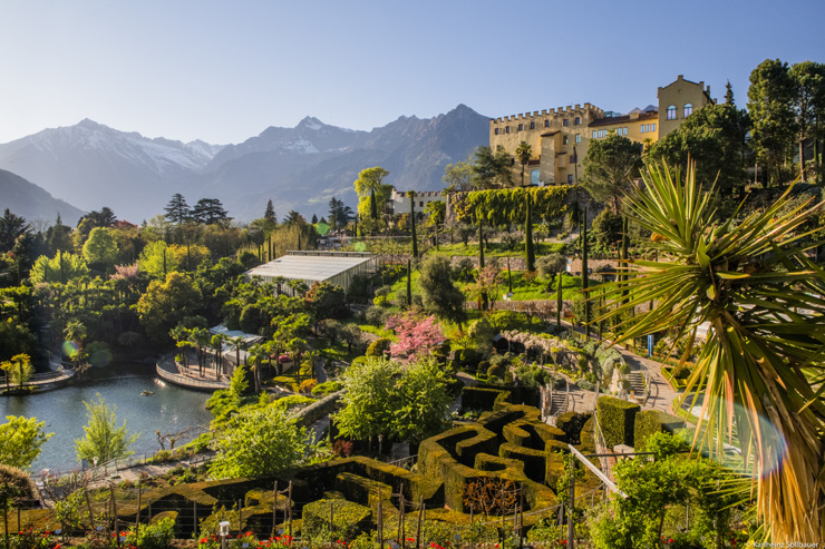 Agendaviaggi's tweet photo. Il tema “Tropical”, conquista terreno alla Merano Flower Festival
#merano #MeranoFlowerFestival #NotteVerde #tropical #Glicine #orchidee #lavanda #crassula #cactus #tillandsie #natura #giardinaggio #florovivaisti
https://t.co/xY3uC1PC9p
©Karlheinz_Sollbauer https://t.co/x6yB8ttlym