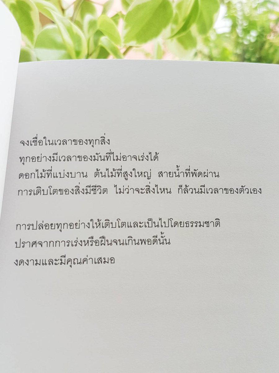 ร้านกลิ่นหนังสือ tweet media