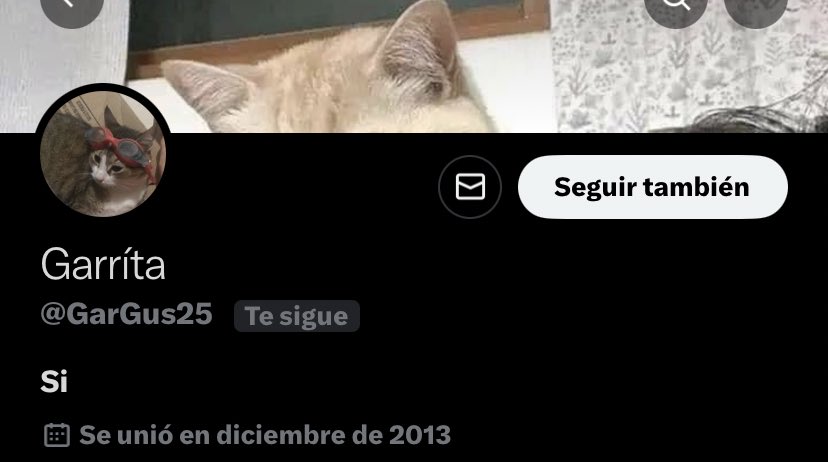 baby cati! tweet media