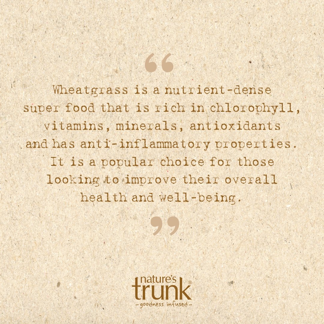 Natures_Trunk's tweet photo. #naturesfood #naturesmenupetfood #healthyandhappy #healthylifesyle #chlorophyllrich #antiinflammatory #antiinflammatorydiet #antiinflammatoryfood #antiinflammatoryfoods #superfoods #superfoodsmoothie #supergreenfood #grass #powder #wheatgrass #wheatgrasspowder #wheatgrassjuice https://t.co/qUkFmsw54H