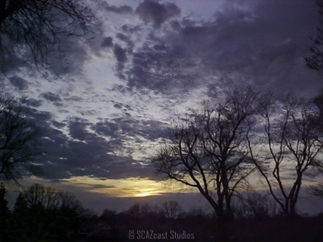 bilderbergs's tweet photo. all images written to 1.44mb floppy disk, edited in LR + Topaz Denoise. #sonyMavica #Sony #floppydisk #mavica #onepoint44megabytes #floppyBasedDigitalCamera https://t.co/cl2TP9UfXD