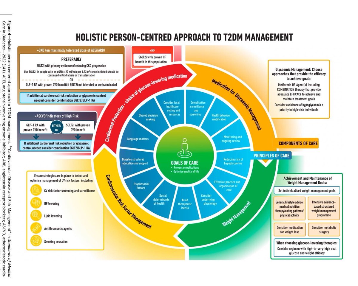 Uno de los mensajes más reiterados en #SEDiab2023 es: intentemos alcanzar el control glucemico de manera estricta lo más precozmente posible

Además! ➡️No trabajemos solo para conseguir el control glucemico. Busquemos manejo de la comorbilidad.