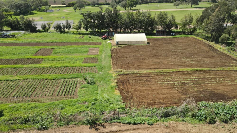 #GCSAYN is not only a dialogue network but a network that translate its ideas on the field for maximum impact to the ecosystem.
Congratulations, this is the Demo Farm at #RVIST which is the HQ for GCSAYN TVET.