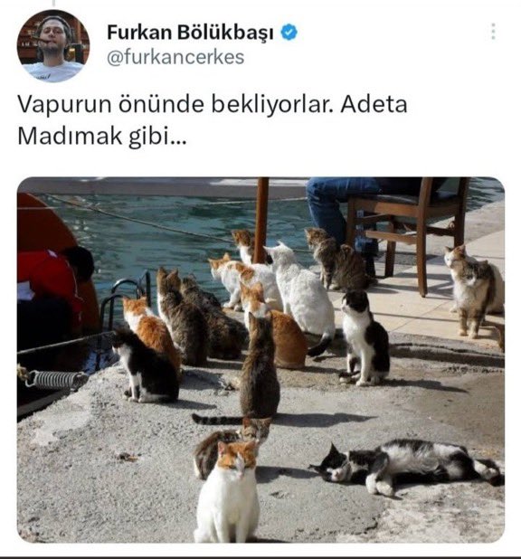 Skaplaaan's tweet photo. Alevileri sürekli hedef gösteren #FurkanBölükbaşıTutuklansın @adalet_bakanlik @TC_icisleri https://t.co/4p2EysdBmc