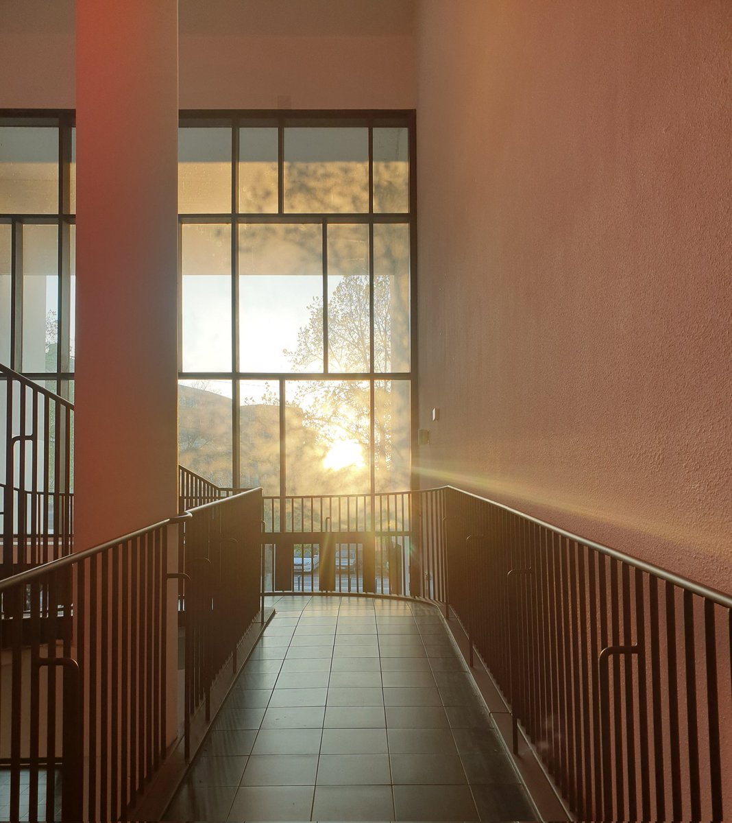 Bibliothèques de l'UBO tweet media