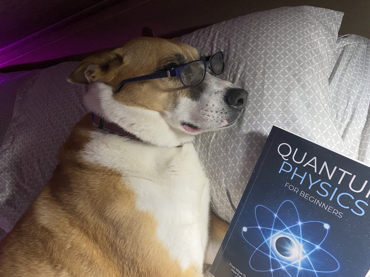 nancydevore's tweet image. This book gives me weird dreams, but she digs it 😆🐕