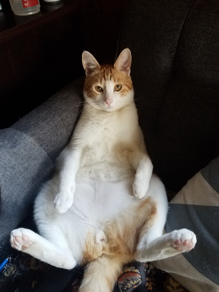erinwotring's tweet photo. @keplyq All the feet. He is definitely a teenage boy. https://t.co/ukjcxzoP7q