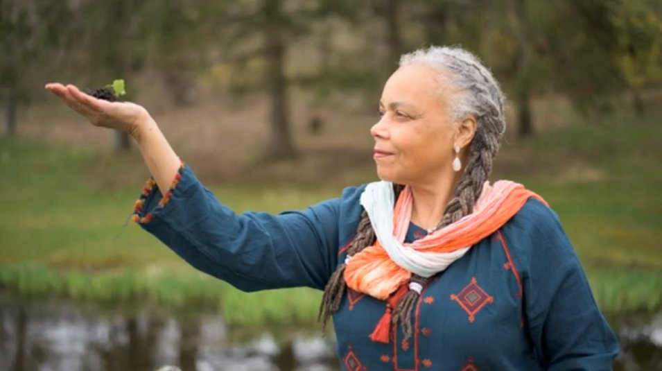 PINEnetwork's tweet photo. Check out the "Becoming Earth Wise" teaser!
https://t.co/enl9JC1qA0

WANT TO BE A GUEST ON THE SHOW? If you have a site that you've ALREADY UNLAWNED, please apply! The deadline has been EXTENDED. Read more and apply now!
..
https://t.co/t6wvvJzYKR

#permaculture #Unlawnful https://t.co/IVhxHixoK5