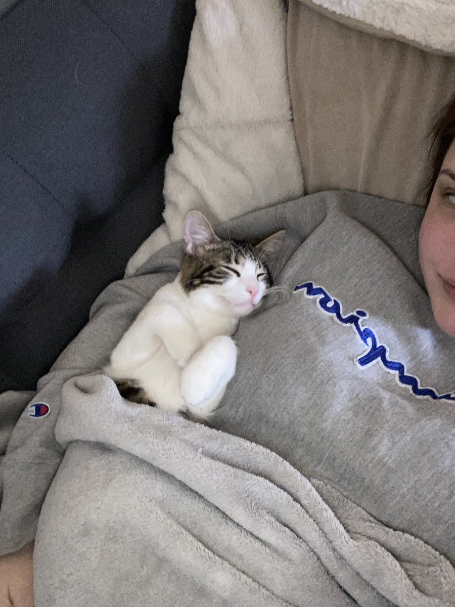 sidialexander's tweet photo. Got Nigel and Coco a little brother, his name is Tarot 🫶 almost done with a few singles &amp; my first merch drop! Album is coming along so well 🥹 things are good! Getting healthy (been sick🤧) &amp; back on a schedule. Music, merch, podcast, n content soon bb’s 💕 #HAPPY420 https://t.co/4xF7nt0rc7
