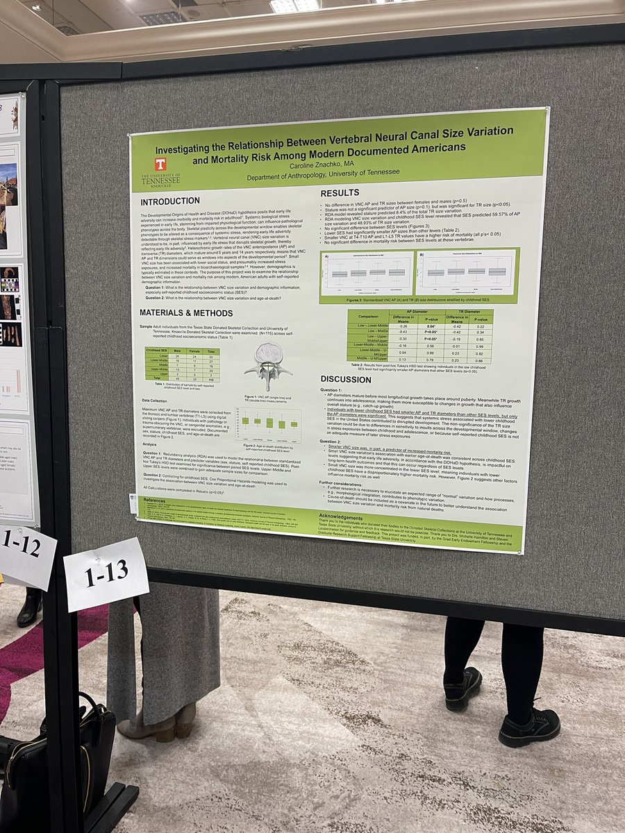 Talked about vertebrae today #AABA2023 🦴