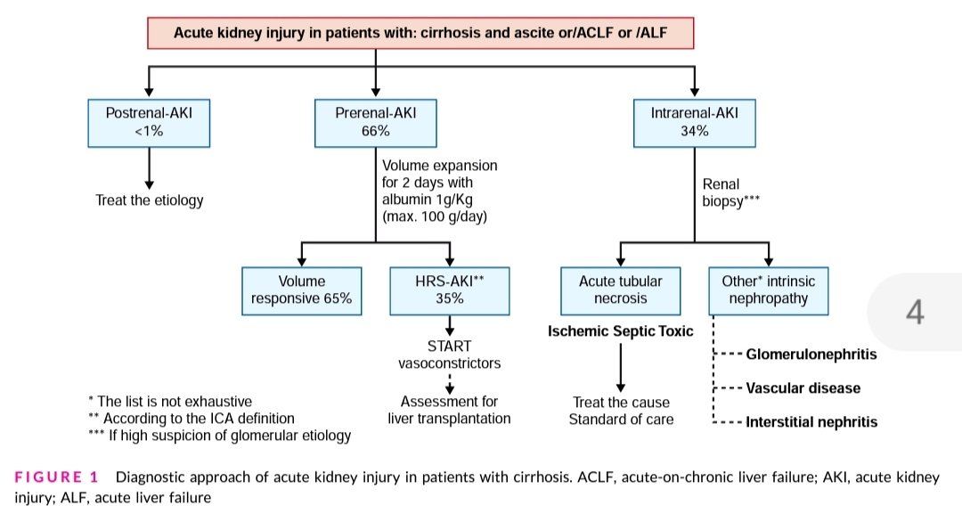 PEPJLHC's tweet photo. AKI IN CIRRHOSIS
💦66% Pre-Renal AKI
1️⃣ ⛔ Nephrotoxic
2️⃣ Progression 👉Albumin 1g/kg (48 hrs) 65% response
3️⃣ If Failure Vasoconstrictors (We prefer Terlipresin)
🛑34% intrarenal AKI
#NefroGEA #InternalMedicineGEA
doi:10.1177/2050640620980713. https://t.co/VHjdwK4B7l