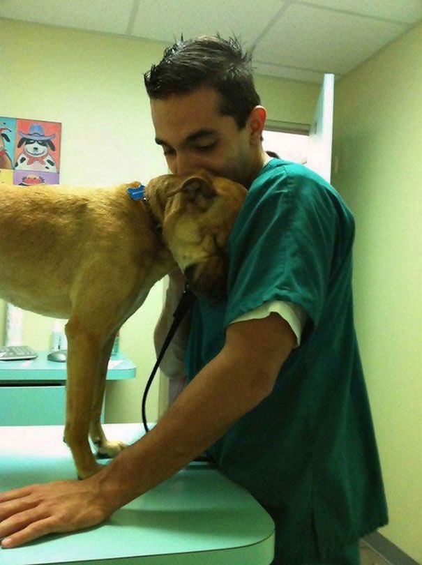 💖 (@twaniimals) on Twitter photo 