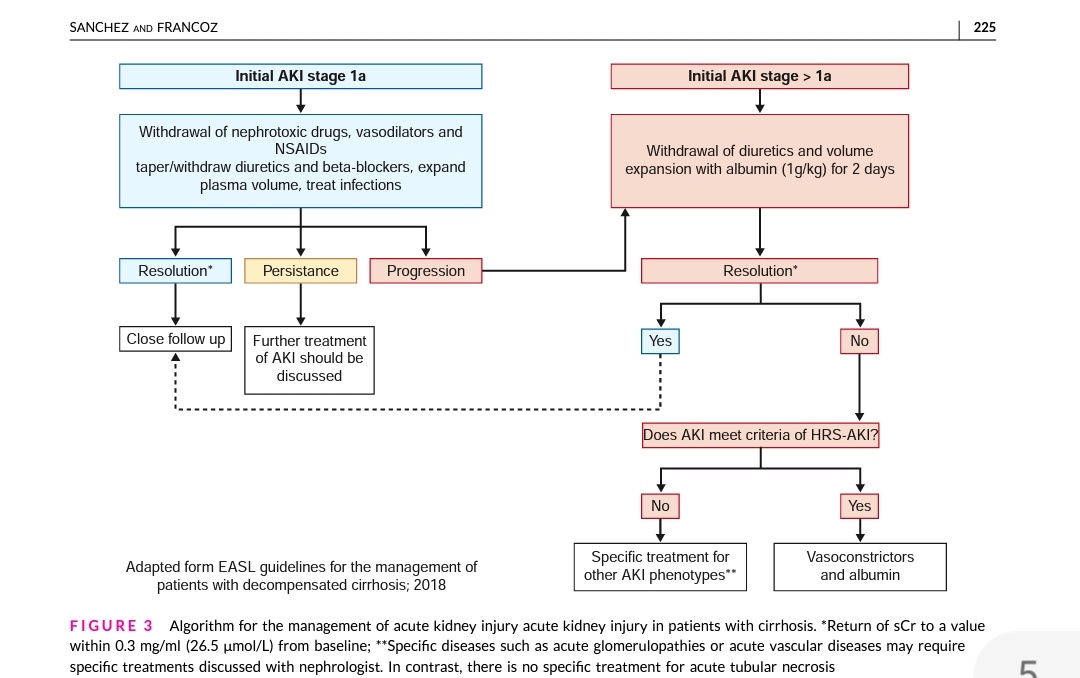 PEPJLHC's tweet photo. AKI IN CIRRHOSIS
💦66% Pre-Renal AKI
1️⃣ ⛔ Nephrotoxic
2️⃣ Progression 👉Albumin 1g/kg (48 hrs) 65% response
3️⃣ If Failure Vasoconstrictors (We prefer Terlipresin)
🛑34% intrarenal AKI
#NefroGEA #InternalMedicineGEA
doi:10.1177/2050640620980713. https://t.co/VHjdwK4B7l