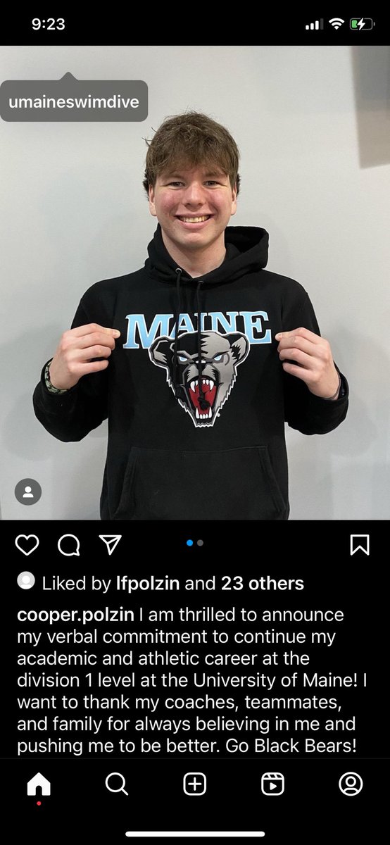 Bison Swim and Dive tweet media