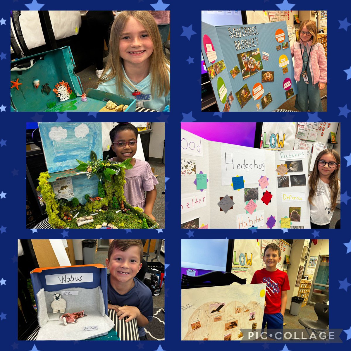 LitkeAngie's tweet photo. These kiddos did an amazing job on their animal research projects!  @Longbranch_Elem #misdproud https://t.co/wQa3PaqjZR
